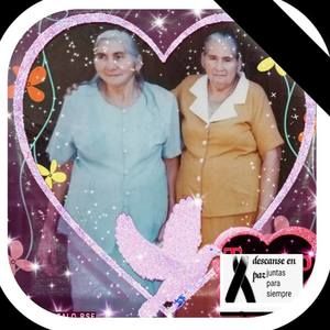 Meet your Posher, Silvia